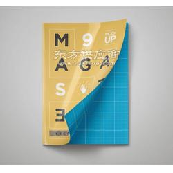 產(chǎn)品畫(huà)冊(cè)精致定做 彩印說(shuō)明畫(huà)冊(cè)印刷